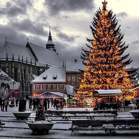 Mary Old Town *